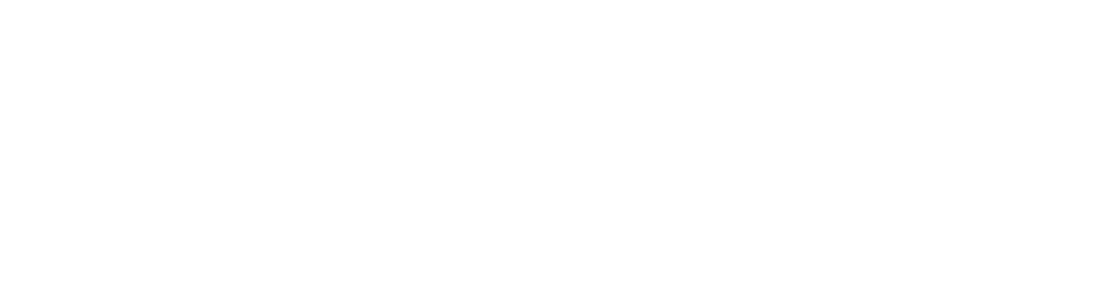 Auditsuisse Assurance